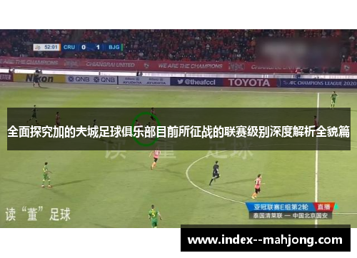 全面探究加的夫城足球俱乐部目前所征战的联赛级别深度解析全貌篇