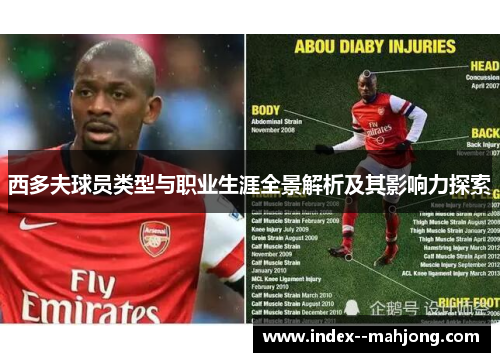 西多夫球员类型与职业生涯全景解析及其影响力探索