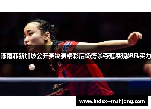 陈雨菲新加坡公开赛决赛精彩后场劈杀夺冠展现超凡实力